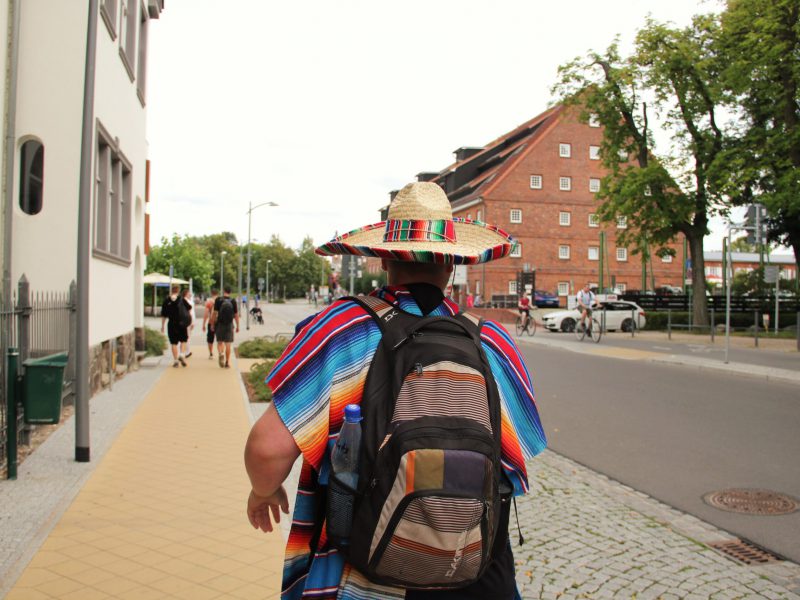 IMG_5313 IMG_5313